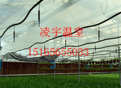 噴灌系統(tǒng)